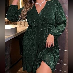 Luxe plus size lace trim party evening bridesmaids formal glitter mesh dress